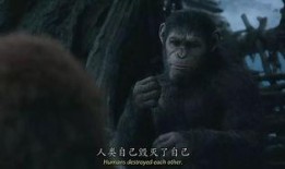 猩猿崛起2在线观看,新纪元在线观影指南：揭秘猿类新世界的崛起之路