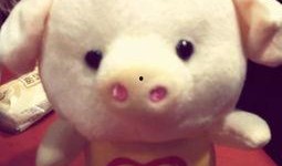 小猪崽子爆料视频大全下载