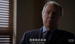 绝命律师在线观看