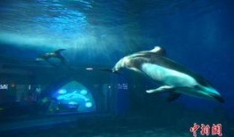 海洋最新爆料消息新闻内容