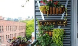 qq吃瓜群免费小花园,瓜田里的欢乐时光