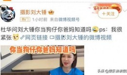 刘大锤爆料王字的视频,王字背后的惊人真相