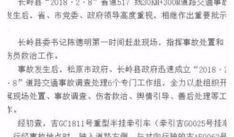 长春网上爆料事件视频,视频揭露惊人真相