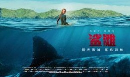 鲨滩在线观看,在线惊悚之旅