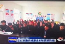费县爆料新闻最新,最新爆料揭示惊人真相