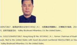 娱乐公司大佬爆料,大佬爆料行业内幕，独家揭秘明星幕后故事