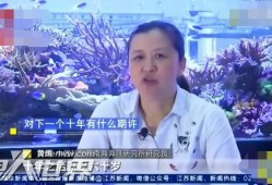 女科学家爆料晕船视频,勇敢挑战海洋科研挑战
