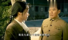 娘要嫁人全集在线观看,一场跨越时代的爱情盛宴