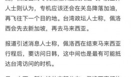 法媒爆料佩洛西新闻内容,揭秘美国国会动态与中美关系走向”