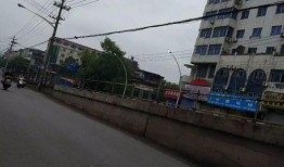 河北安平县爆料事件最新,揭秘背后真相与网络舆论风暴