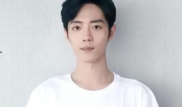 肖战最新的爆料新料,揭秘娱乐圈背后的惊人真相！