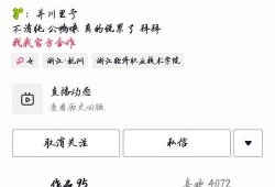 吃瓜群聊 网红,揭秘娱乐圈幕后故事