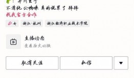 吃瓜群聊 网红,揭秘娱乐圈幕后故事