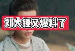 刘大锤爆料收钱视频大全,收钱视频大全幕后真相大曝光