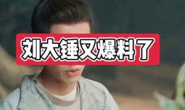 刘大锤爆料收钱视频大全,收钱视频大全幕后真相大曝光