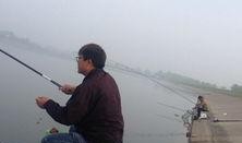 云南钓鱼视频在线观看,线上直播带你畅游钓鱼世界