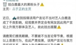 白鹿张凌赫爆料视频,揭秘幕后的真实故事