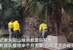 戈田山爬山爆料案件最新,揭秘背后惊人真相