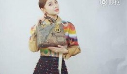 杨颖爆料最新动态视频,揭秘幕后故事与精彩瞬间