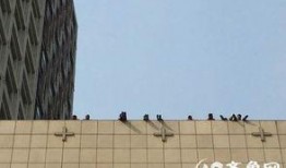 济南楼顶爆料事件视频