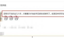 王者网友爆料视频大全最新,揭秘游戏幕后精彩瞬间