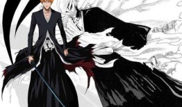 动漫死神全集在线观看,跨越生死的羁绊与冒险之旅