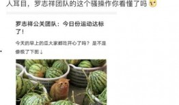 吃所有网红瓜的网站,揭秘热门事件背后的真相