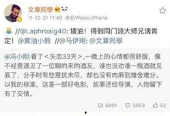 获嘉离婚爆料最新,真相与争议交织的婚姻裂痕