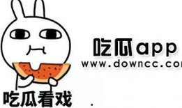 吃瓜群聊 网红,揭秘娱乐圈幕后故事