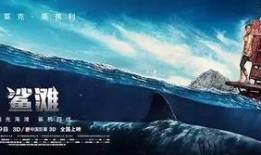 鲨滩在线观看,在线惊悚之旅