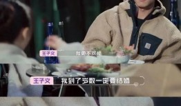 乐言恋爱史爆料视频,一段甜蜜与波折并存的情感旅程
