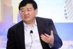 徐小平爆料新闻视频,揭秘新闻背后的惊人真相