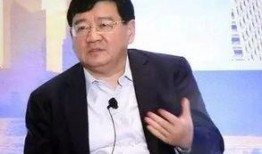 徐小平爆料新闻视频,揭秘新闻背后的惊人真相