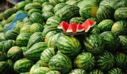免费吃新瓜,尽享夏日新瓜盛宴