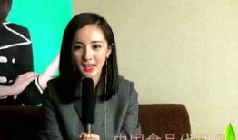 陈晨最新爆料消息视频