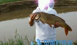 云南钓鱼视频在线观看,线上直播带你畅游钓鱼世界