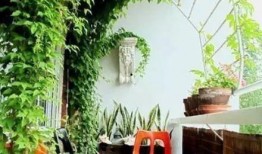 qq吃瓜群免费小花园,瓜田里的欢乐时光