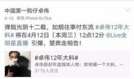 卓伟爆料过的大料的视频