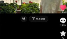 董宇辉视频爆料最新,揭秘直播带货背后的真实面貌