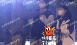刘大锤爆料夜色视频,夜色视频背后的惊人真相