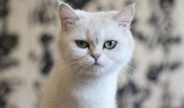 丁满最新爆料,娱乐圈惊天秘密大曝光！