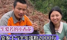 爆料牛爱芳夫妻生活视频,揭秘明星夫妻的真实生活