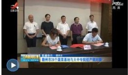 江西电视台新闻爆料,揭秘某重大事件背后真相