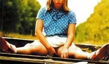 解放的潘多拉在线观看,解放之旅，在线观看揭秘