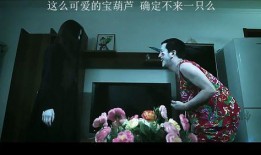 宝葫芦在线观看影片,奇幻之旅，一网打尽
