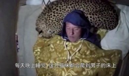社宅妻暴行在线观看,揭开家庭暴力背后的黑暗面