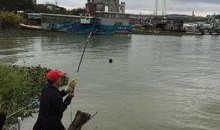 云南钓鱼视频在线观看,线上直播带你畅游钓鱼世界